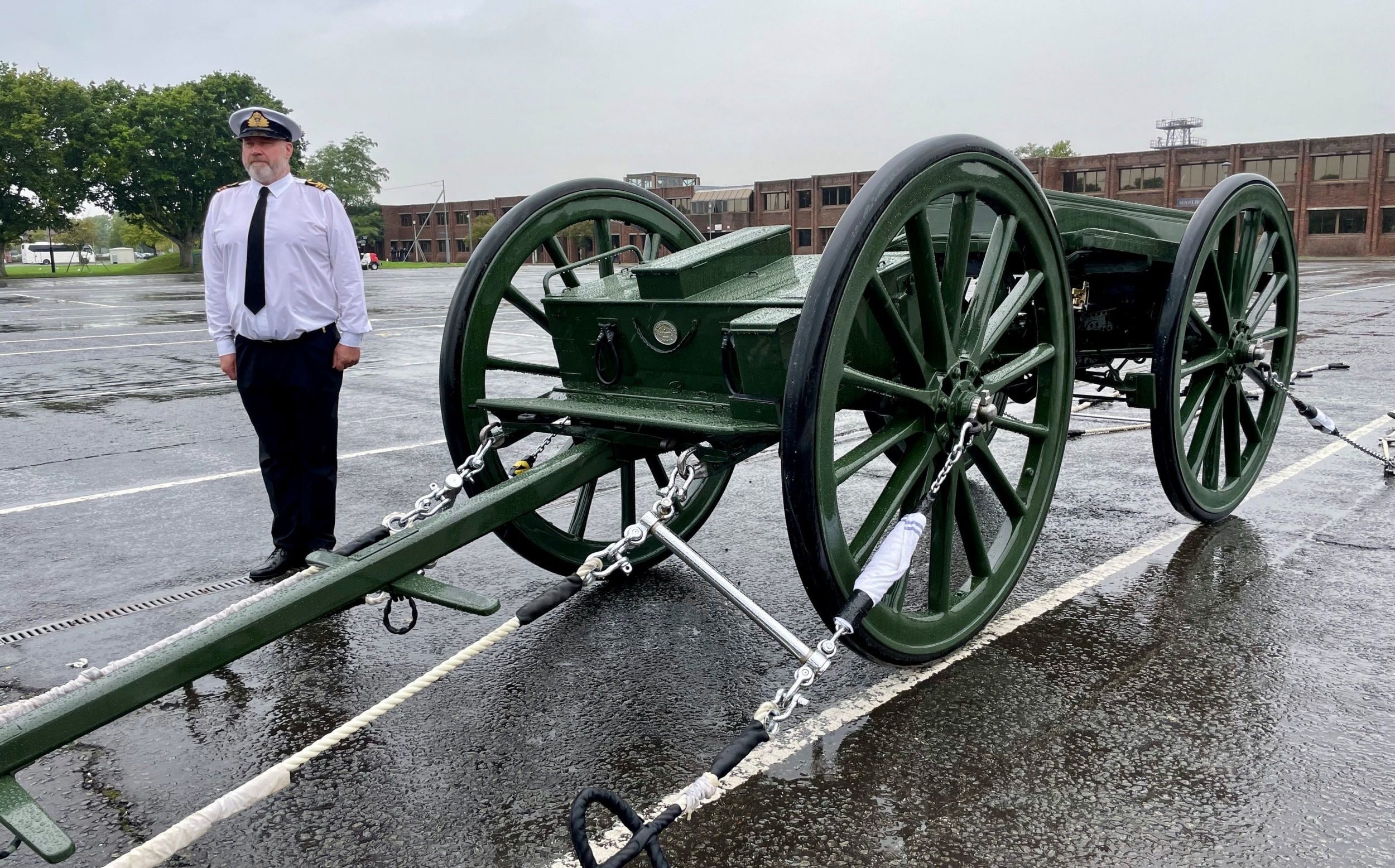 Co linh xa gan phao cho linh cuu trong tang le nu hoang Anh hinh anh