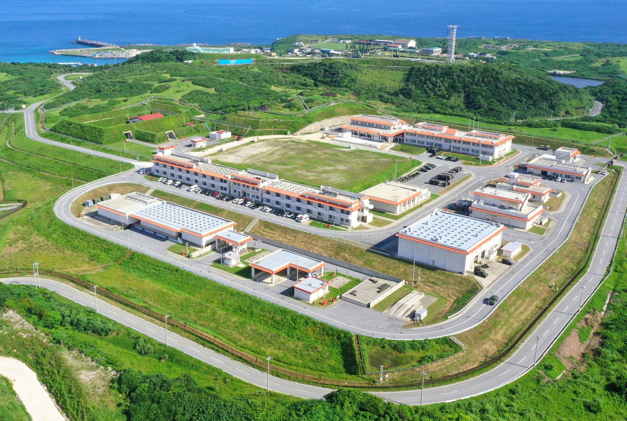 dao cuc tay nhat ban anh 1