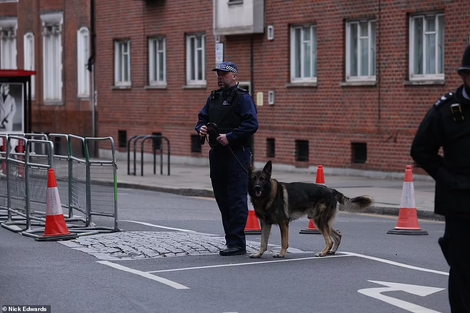 an ninh tang le anh anh 11