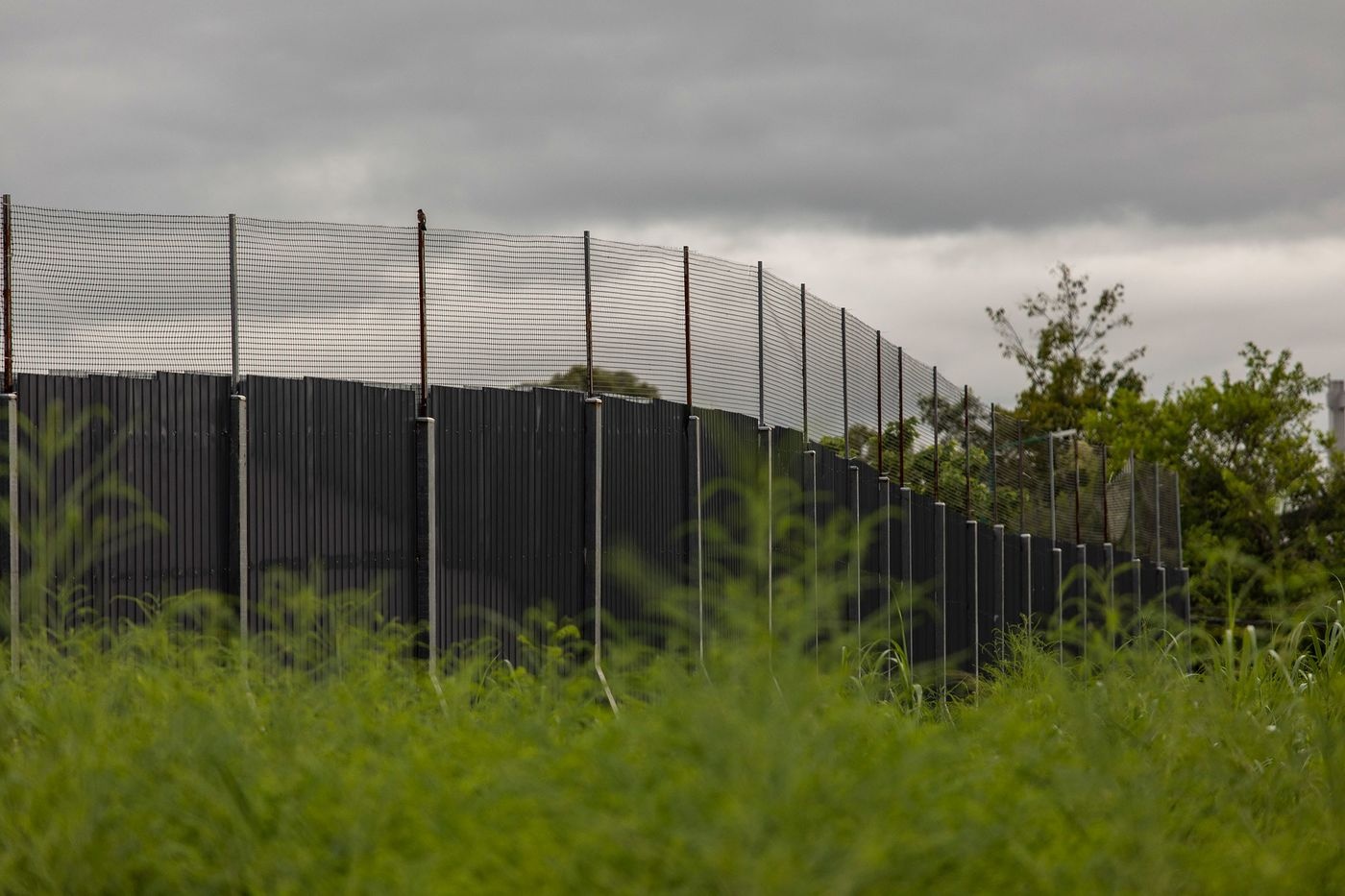 thuy le phong toa anh 2