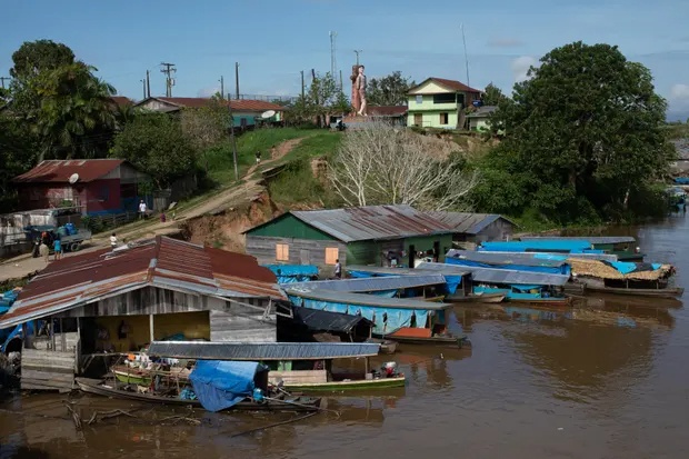 thuy quai Amazon anh 2