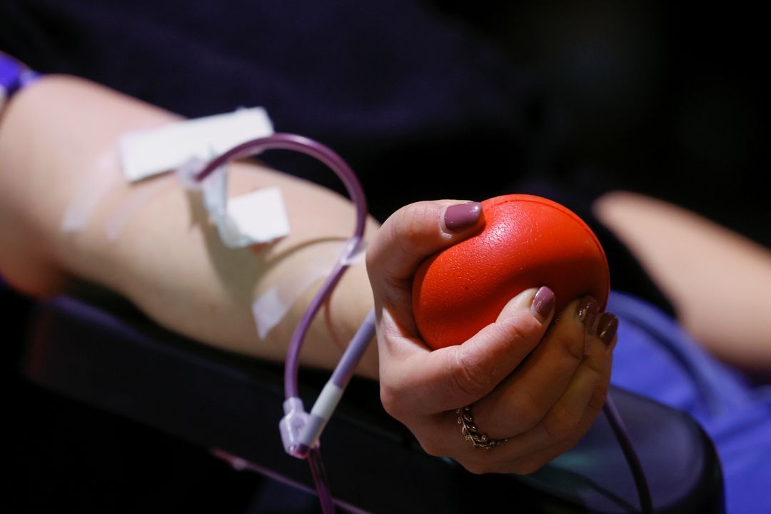 Lan dau truyen mau nuoi trong phong thi nghiem cho nguoi hinh anh