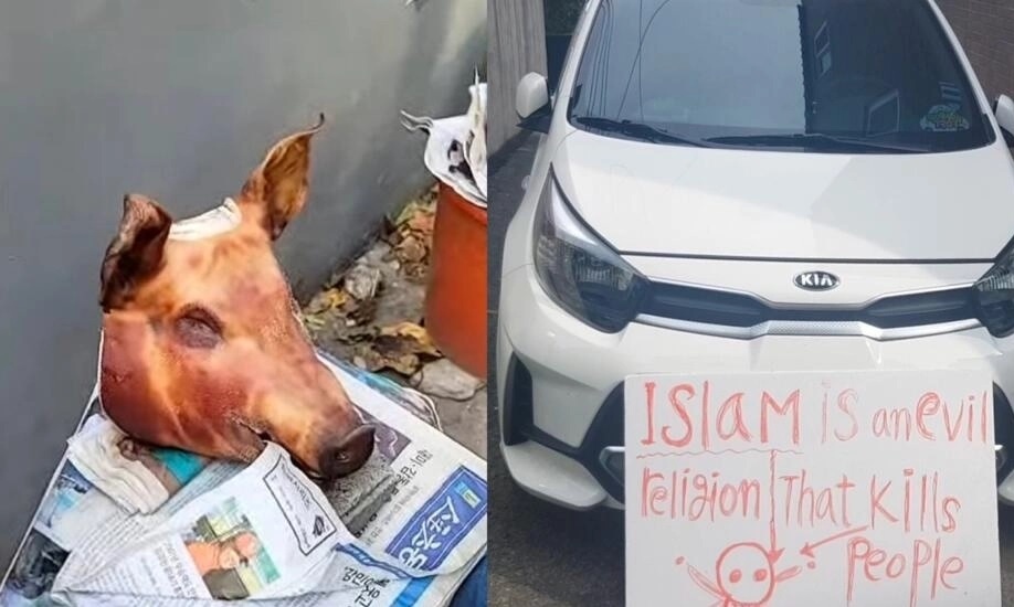 Nguoi Han Quoc dem thu lon bieu tinh phan doi thanh duong dao Hoi hinh anh