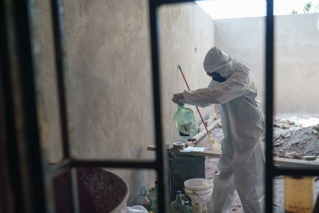 bang dang sinaloa anh 2