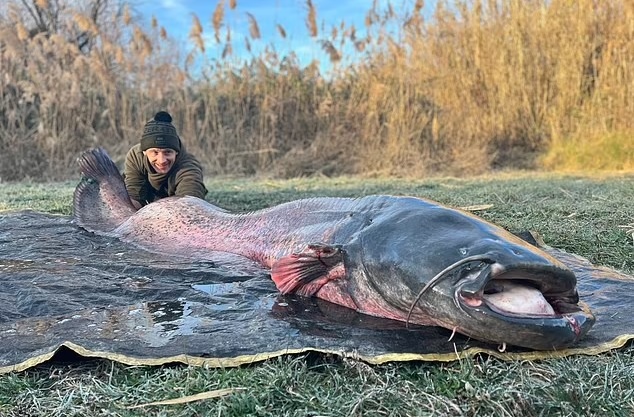 Can thu cau duoc 'quai vat song' nang 100 kg hinh anh