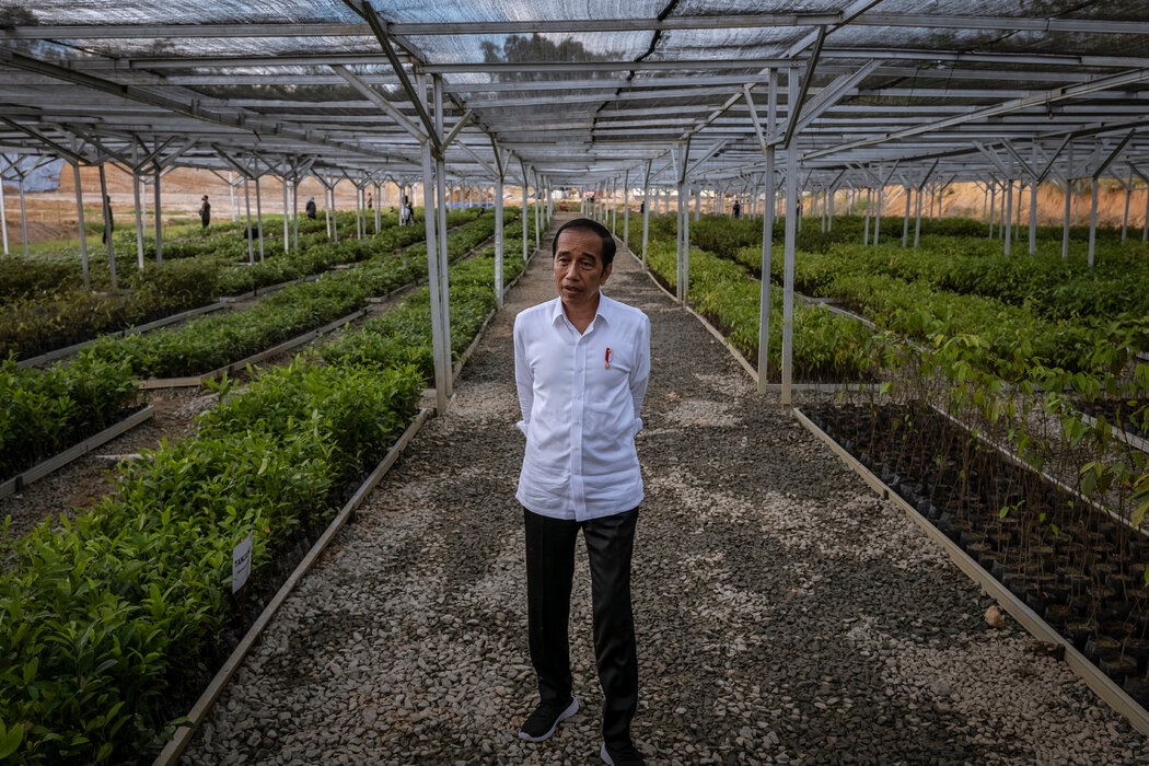 indonesia dời đô ảnh 1 indonesia doi do anh 1