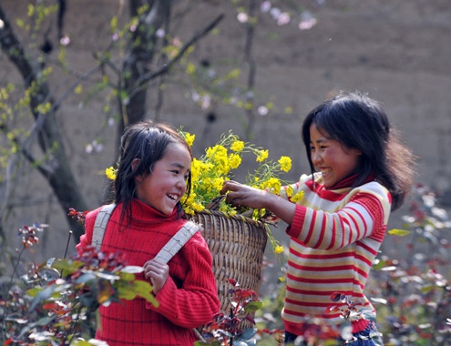 Xuan muon tren cao nguyen da Dong Van hinh anh