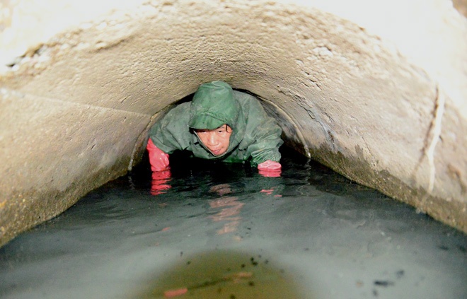 Dan than trong cong ngam muu sinh mua mua bao hinh anh