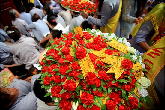 Hang nghin nguoi du le bong hong cai ao hinh anh
