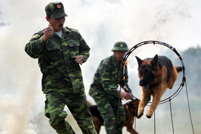 Tai nang cua cho nghiep vu Viet Nam hinh anh