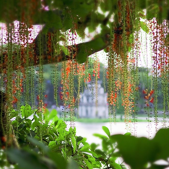 Hinh anh doc dao ve thap rua ho Guom hinh anh