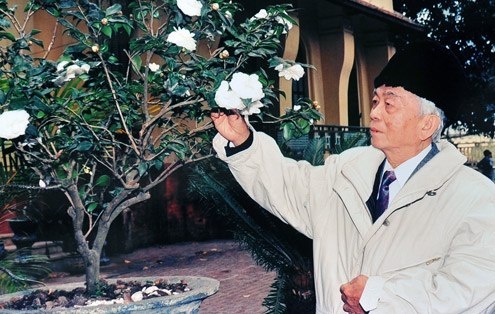 Nhung khoanh khac doi thuong cua Tuong Giap hinh anh