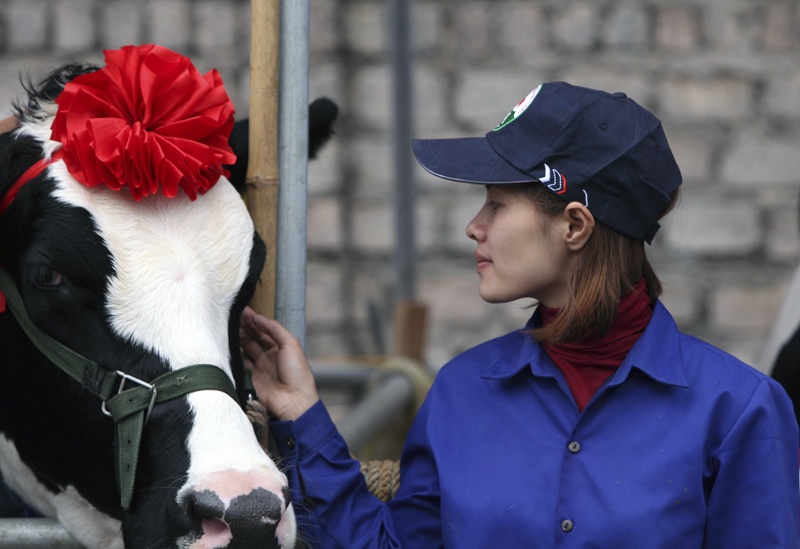 Hon 100 'thi sinh' bo dep thi hoa hau hinh anh