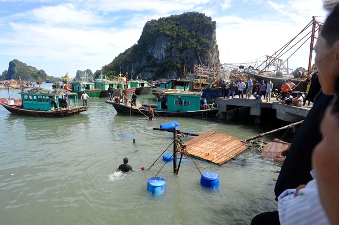 Mo vot hang chuc tau bi chim vi bao Haiyan hinh anh