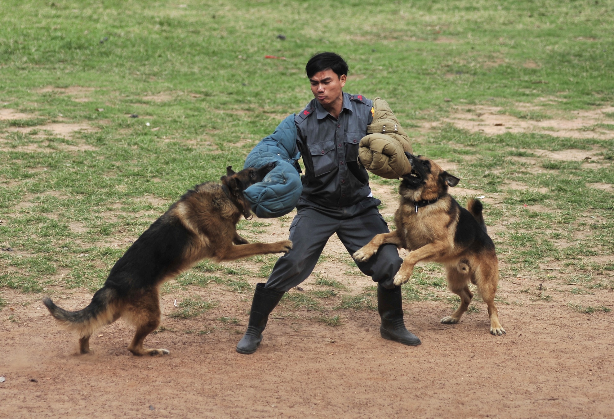 Can canh cho canh sat dien tap chien dau hinh anh