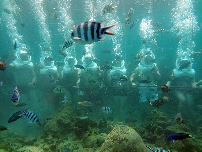 Trai nghiem mon di bo duoi day bien o dao Sapi hinh anh