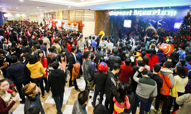 Xep hang ca tieng cho vao thuy cung lon nhat Viet Nam hinh anh