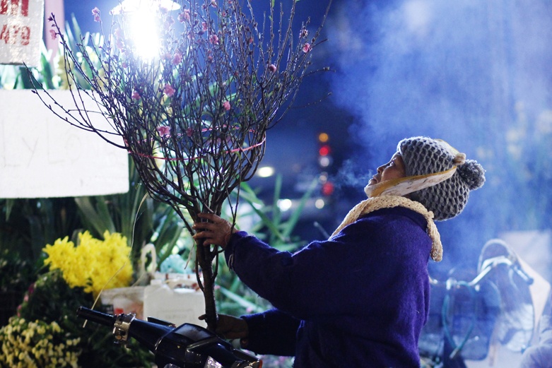 Hoa dao ban dem gia re o Ha Noi hinh anh