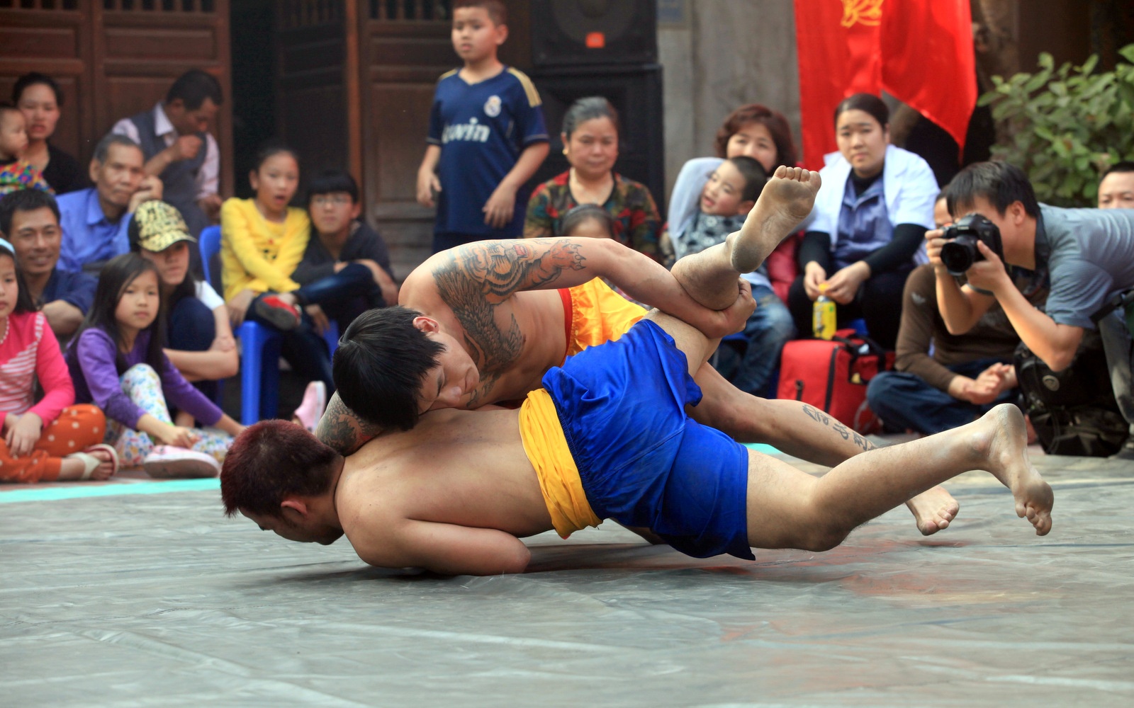 Soi vat dau xuan o thu do hinh anh