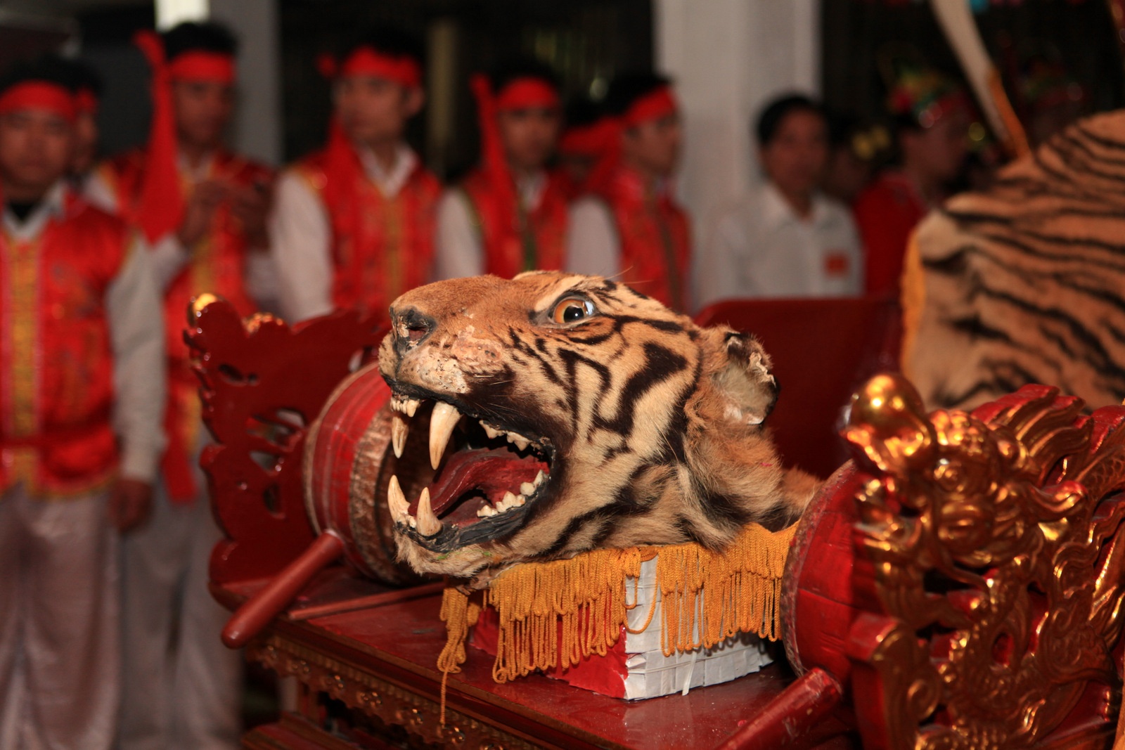 Dang ho that, danh ho gia o Ha Noi hinh anh