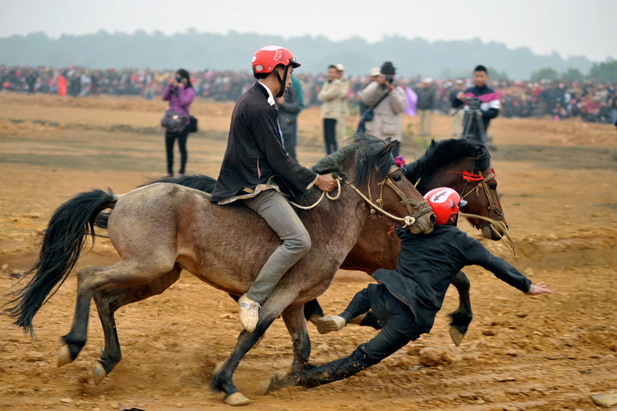 Ky si suyt bi ngua giam vao nguoi o Ha Noi hinh anh