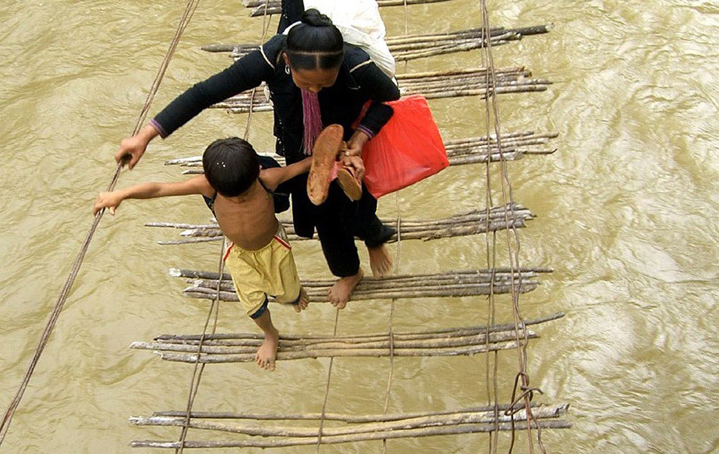 Nhung cay cau treo tu than o vung cao hinh anh