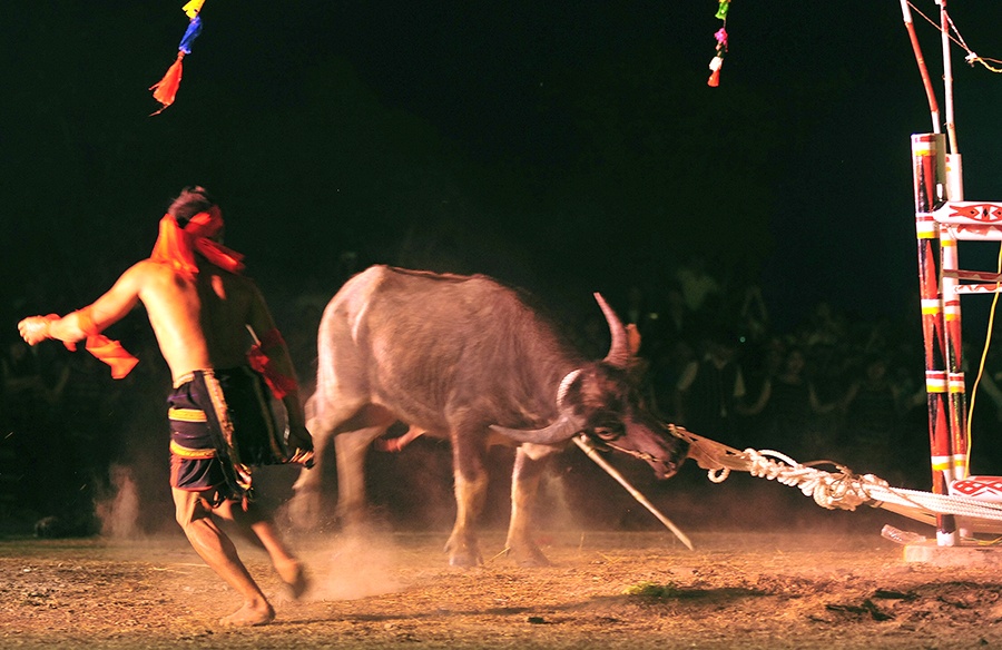 Dot lua, dam trau trong dem o Tay Nguyen hinh anh