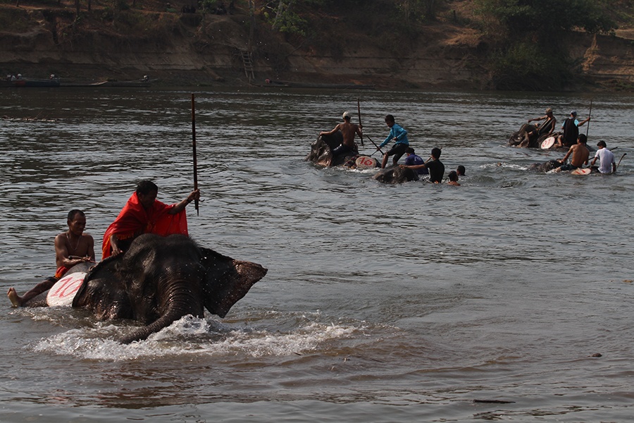 Voi thi boi qua song o Tay Nguyen hinh anh