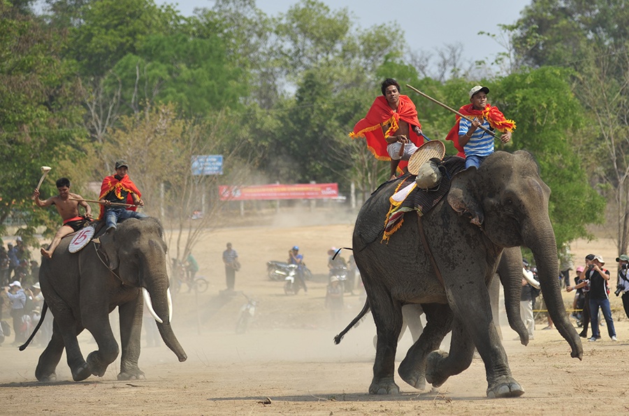 Voi Tay Nguyen tro tai dua toc do tren cat hinh anh