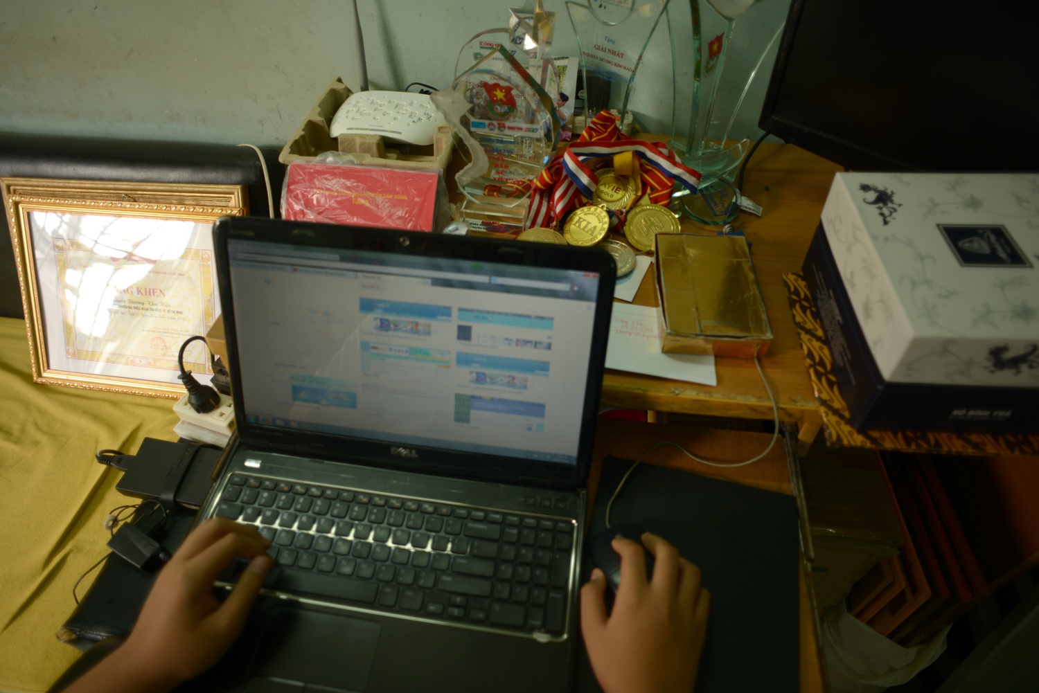 Cậu bé Nguyễn Dương Kim Hảo đã đạt nhiều huy chương và sáng tạo, tin học trẻ trong và ngoài nước suốt từ năm 2011 đến nay.