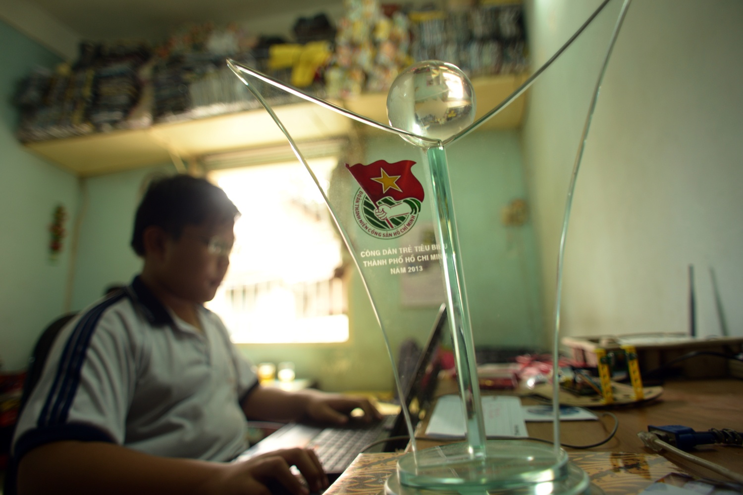 Dù mới đang học lớp 7 nhưng Hảo đã được bầu chọn là  “Gương mặt Việt Nam tiêu tbiểu” năm 2013.