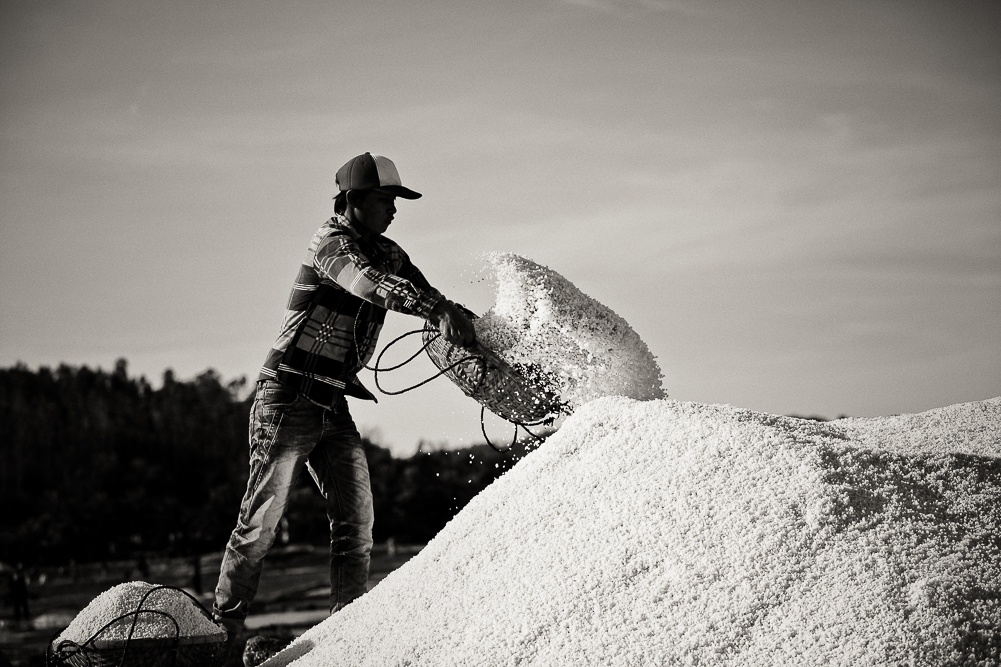 Diem dan tren vua muoi Sa Huynh hinh anh