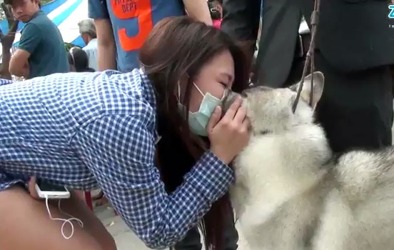 Nhung chu cho dep khoe dang o Sai Gon hinh anh