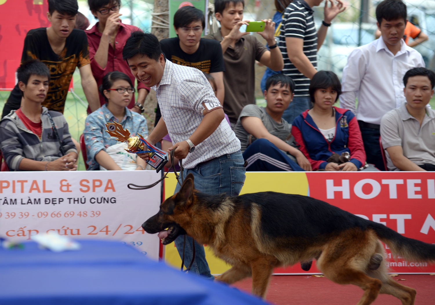 Nhung man khoe dang cua cho hinh anh