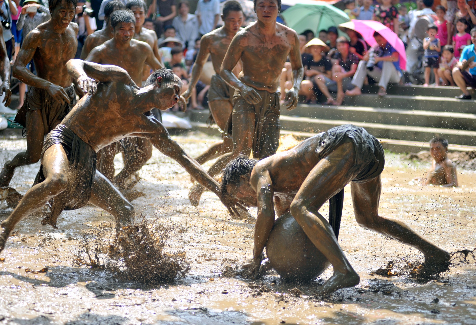 Tranh cuop qua cau go lim 20kg trong bun lay hinh anh