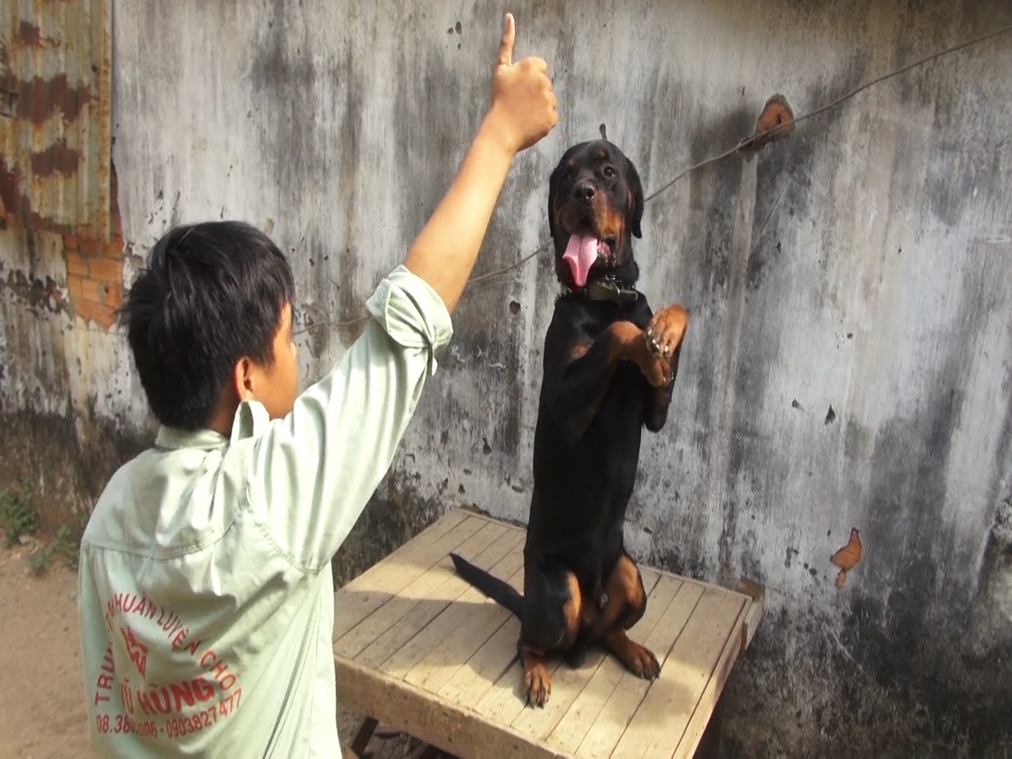 Dua don cho cung den truong hoc tieng Anh hinh anh