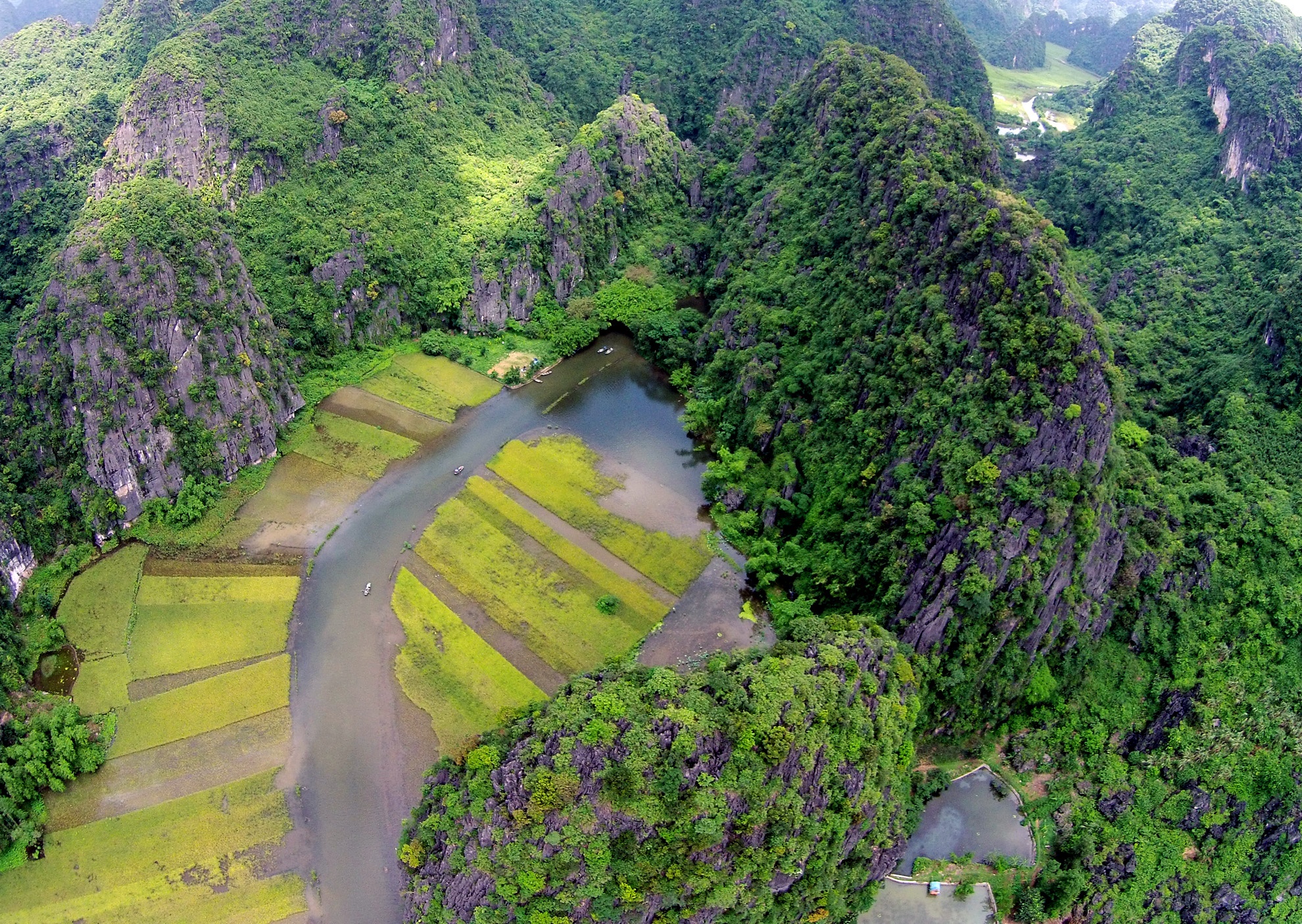 Mua 'vang' dep nhu tranh o Tam Coc hinh anh