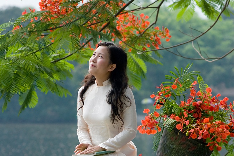 Nhung khoanh khac Ha Noi mua hoa phuong hinh anh