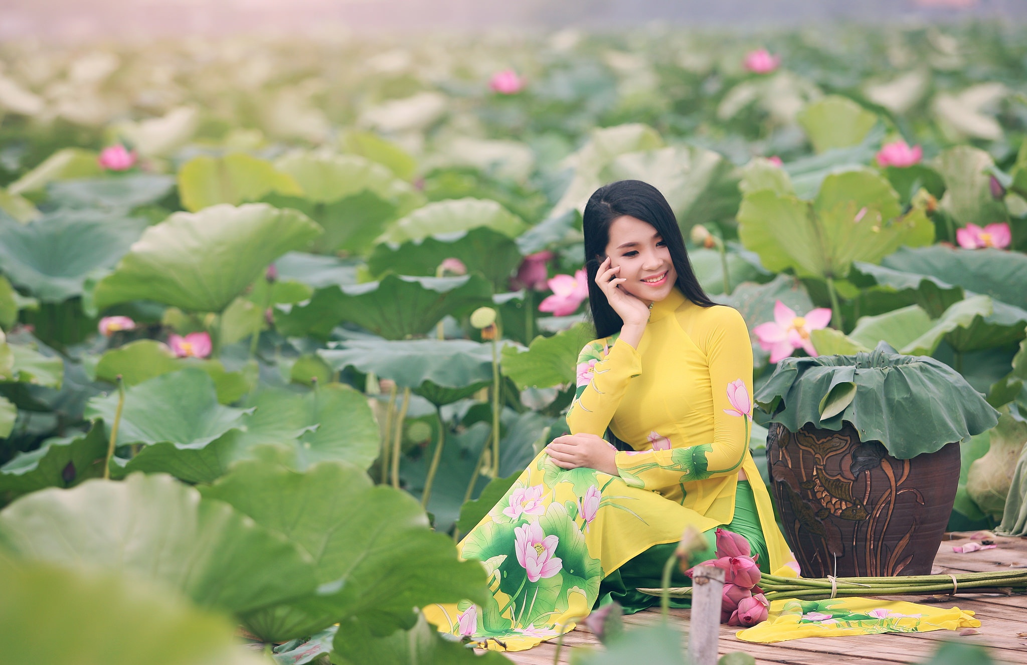 Hoa khoi diu dang ben dam sen hinh anh