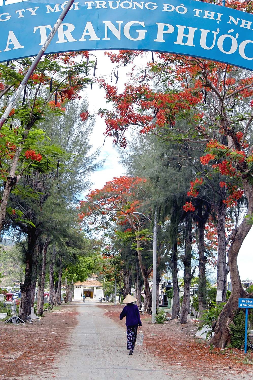 Lấy được bình nước nhỏ bà cụ đang đi về nhà mình trong nghĩa trang.