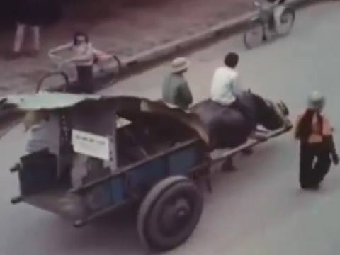 Xe trau cho xac may bay tren duong pho Ha Noi hinh anh