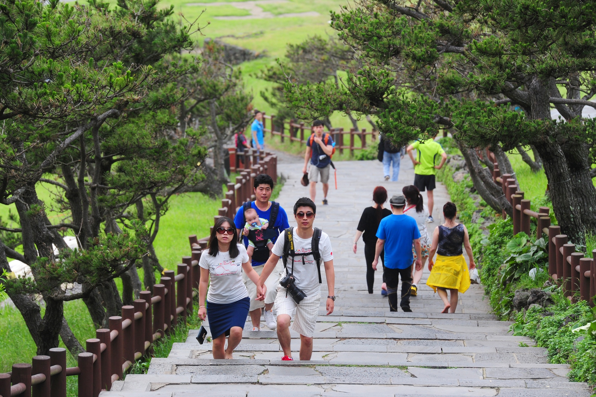 Lay Visa Han Quoc sau hai ngay dang ky hinh anh