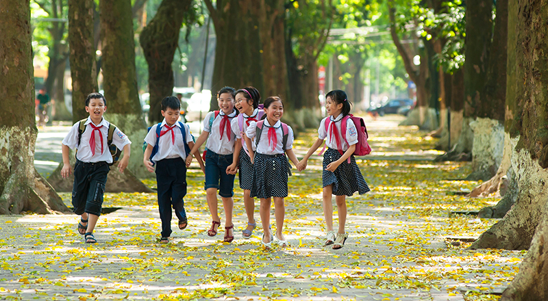Nhung hinh anh Ha Noi lam xao xuyen long nguoi hinh anh