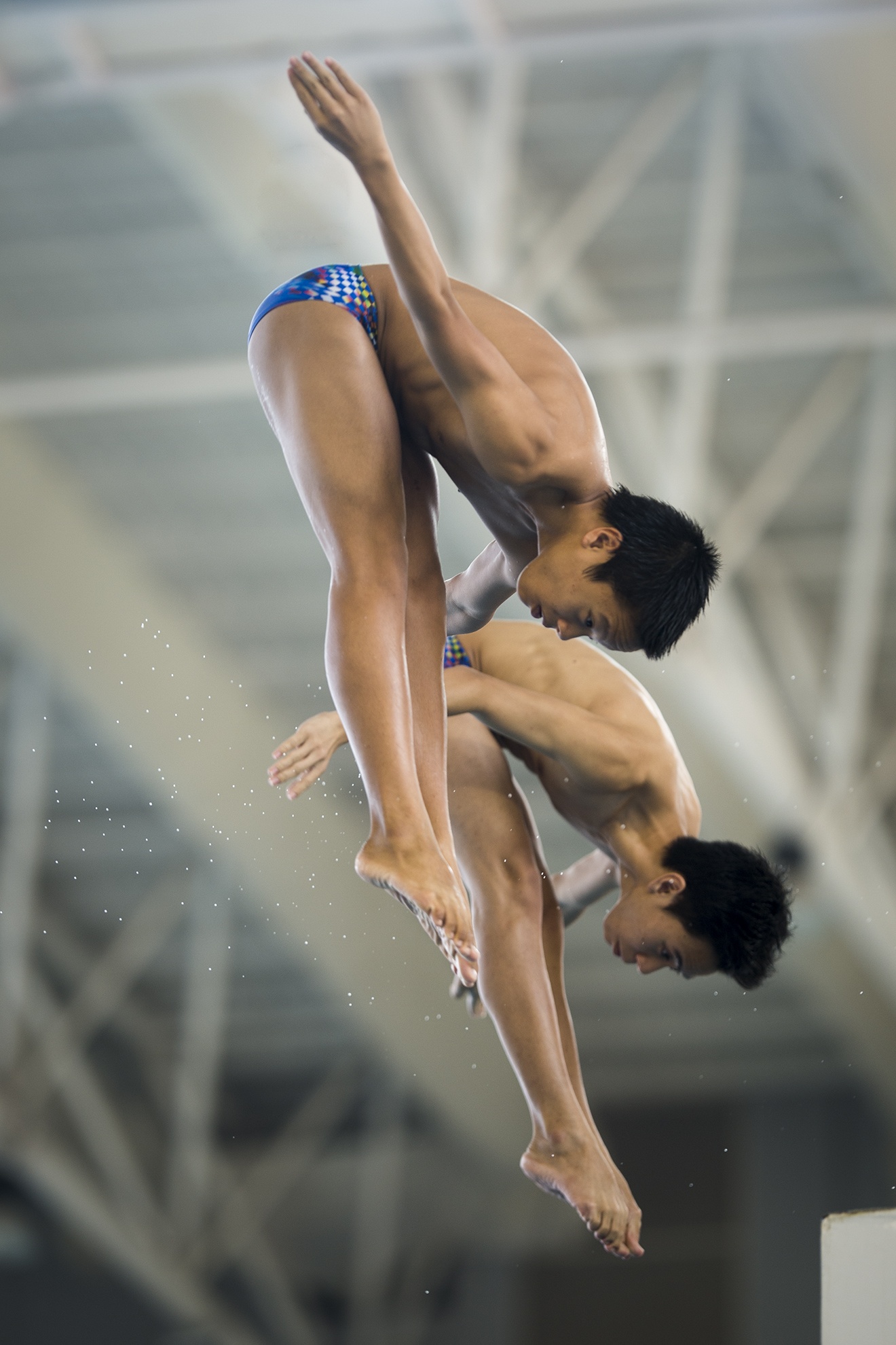 Huy chương bạc 5m cầu cứng đến từ TP.HCM.