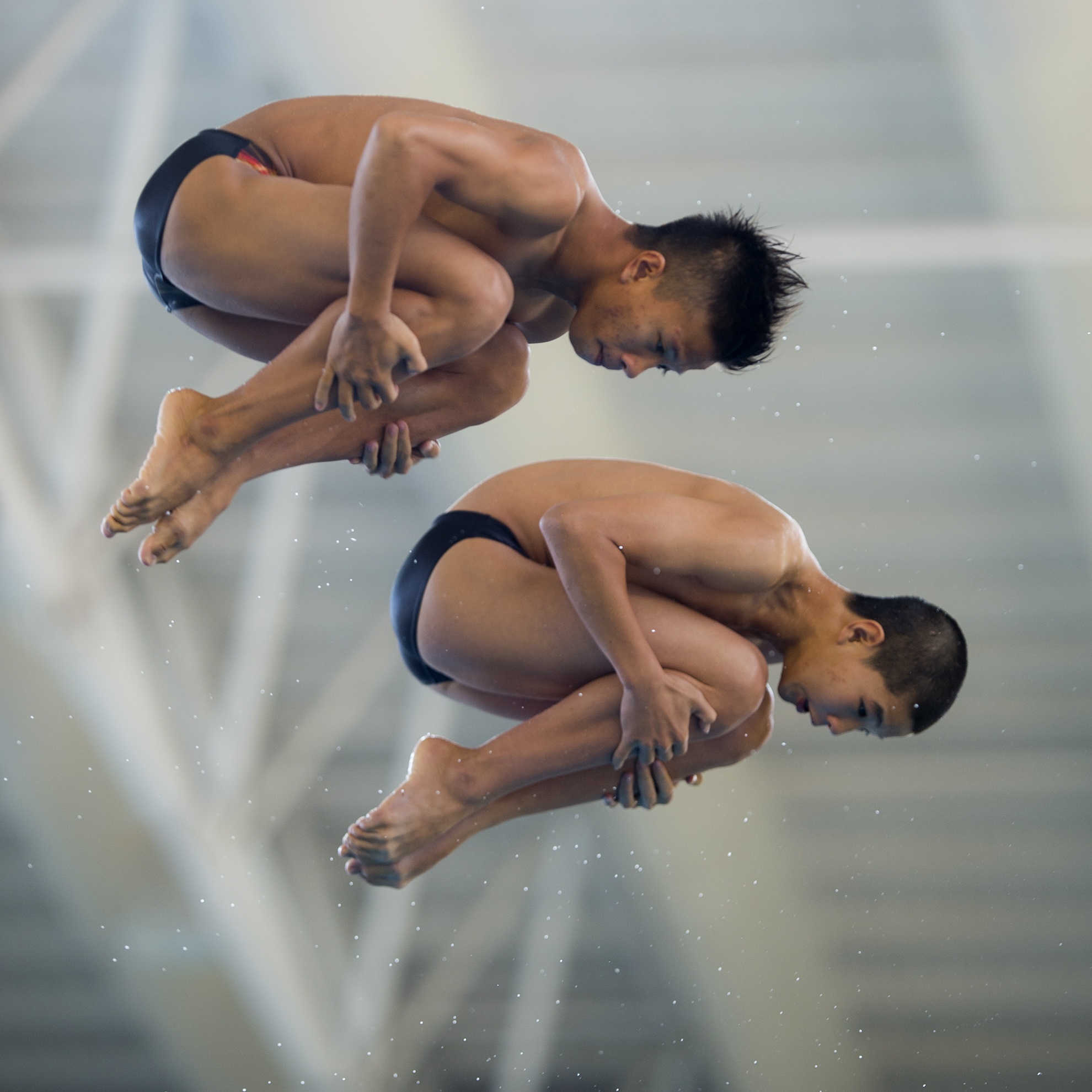 Huy chương vàng 5m cầu cứng, vận động viên đến từ Hải Phòng.