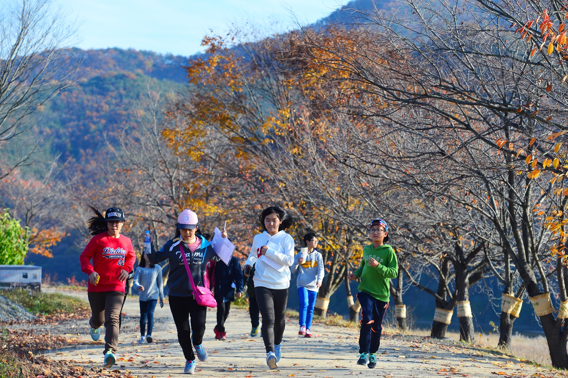 Ngoi lang 500 tuoi cua gioi quy toc o xu Kim Chi hinh anh