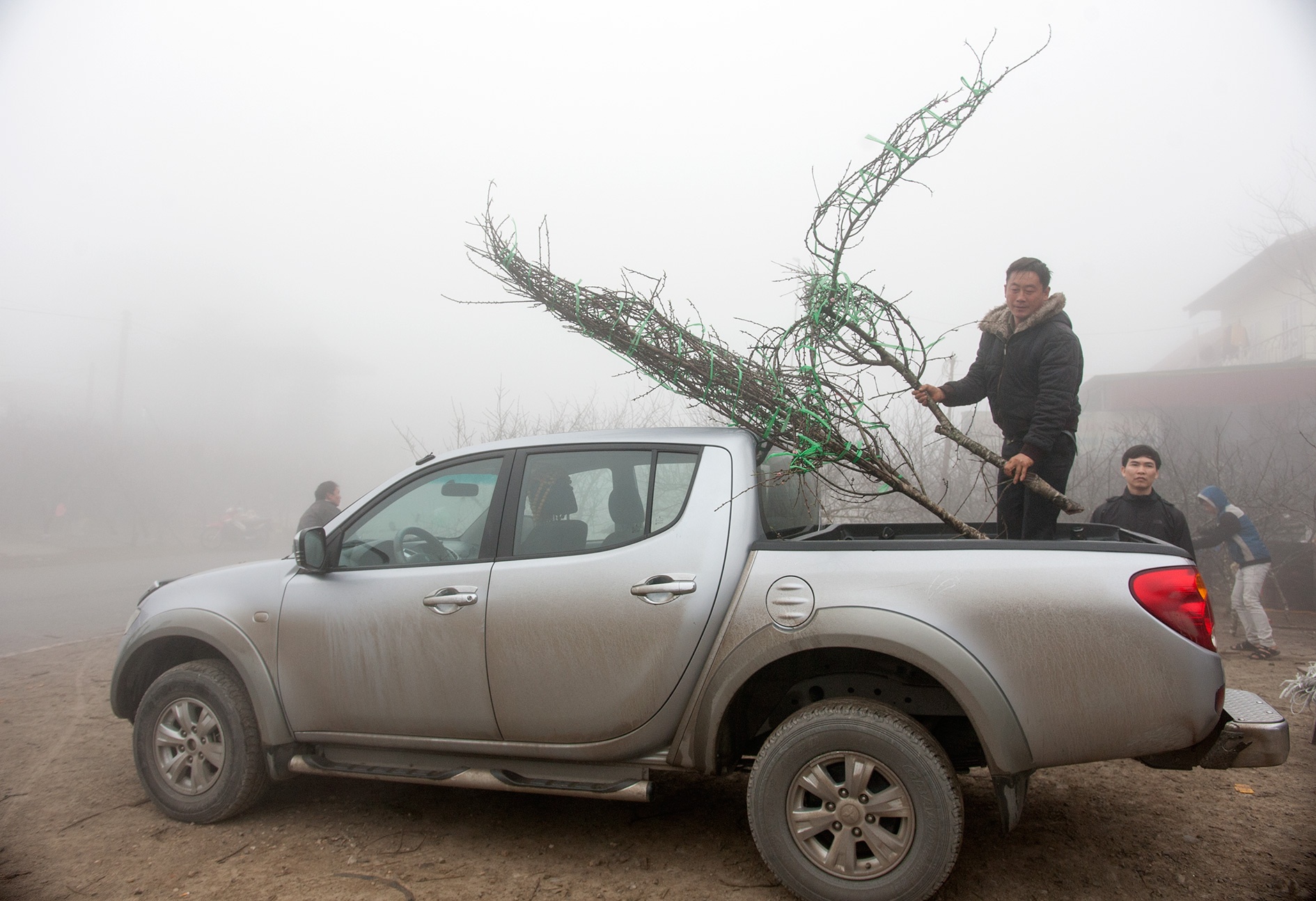 Len vung cao mua dao rung ve choi Tet hinh anh