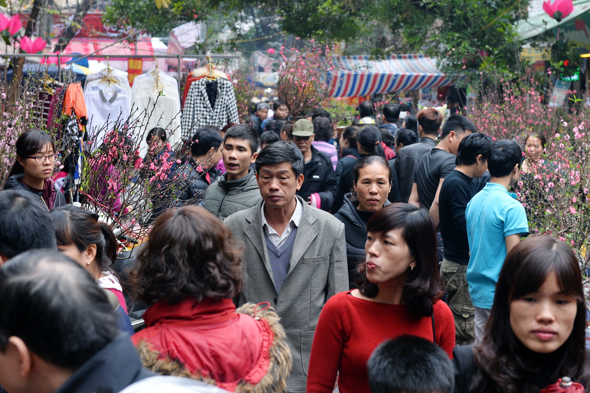 Hang nghin nguoi do ve cho hoa Hang Luoc sam Tet hinh anh