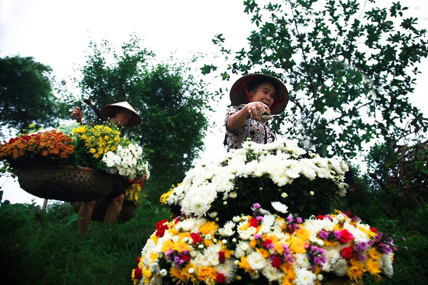 Nhung ganh hang hoa dac biet o dat thanh Nam hinh anh