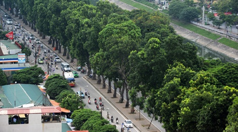 Nhung tuyen duong rop bong cay dep o thu do hinh anh